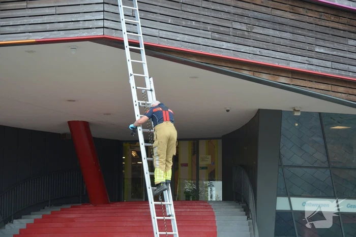 Brandweer haalt dode kraai van schoolgebouw