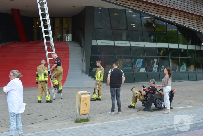 Brandweer haalt dode kraai van schoolgebouw