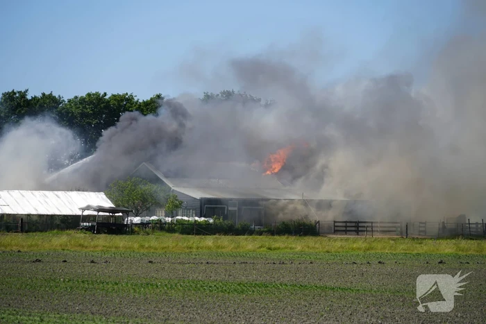 Uitslaande brand bij zorgboerderij