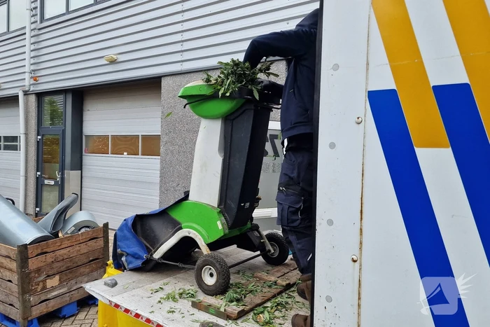 Hennepkwekerij met 200 planten opgerold