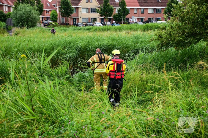 Duikers aanwezig voor kinderfiets naast sloot