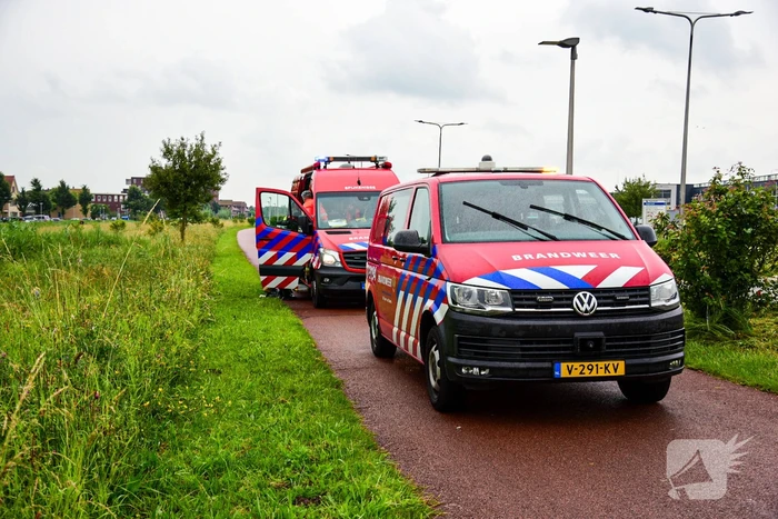 Duikers aanwezig voor kinderfiets naast sloot