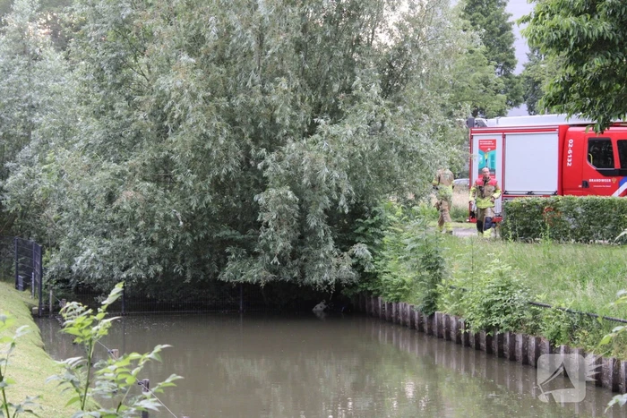 Brandweer aanwezig voor jong schaap in sloot