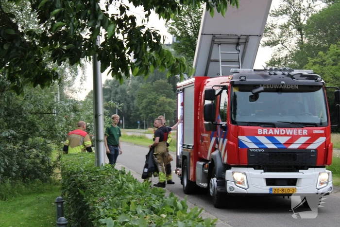 Brandweer aanwezig voor jong schaap in sloot