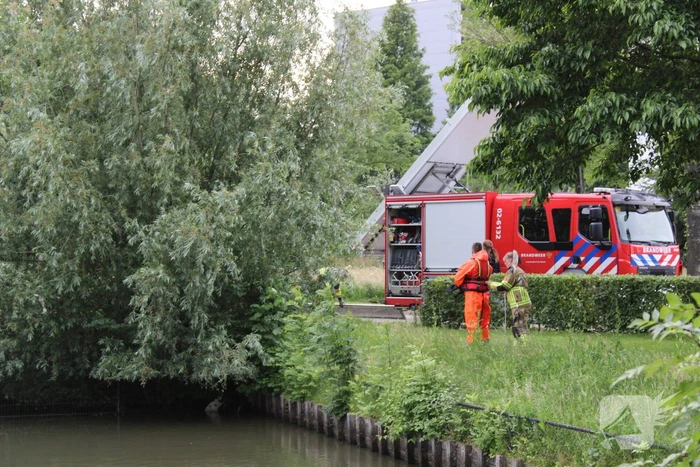 Brandweer aanwezig voor jong schaap in sloot
