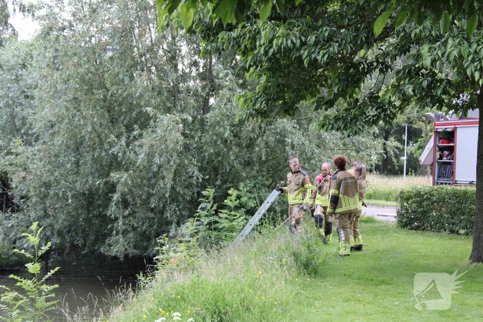 Brandweer aanwezig voor jong schaap in sloot