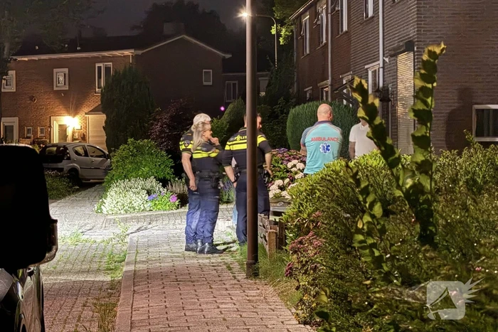 steekincident leeuwerikenweg rheden