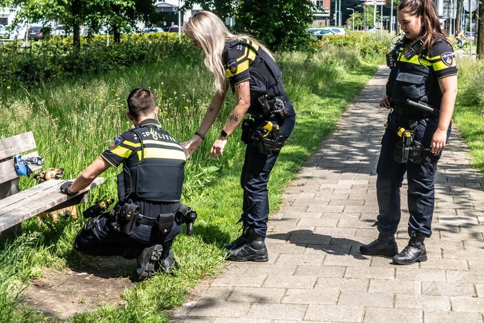 Hond achtergelaten na geweldsincident