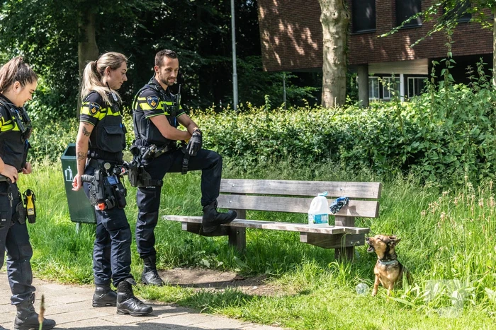 Hond achtergelaten na geweldsincident