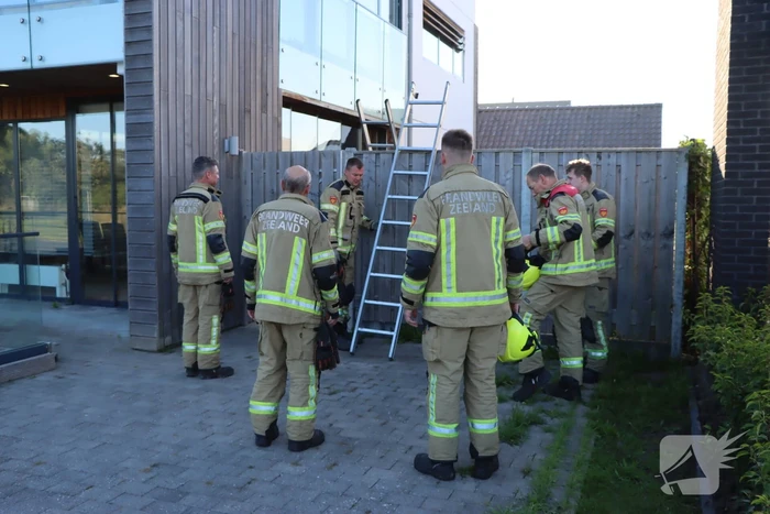 Wederom duif vast achter glasplaat