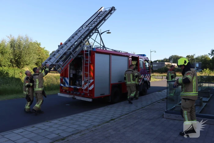 Wederom duif vast achter glasplaat
