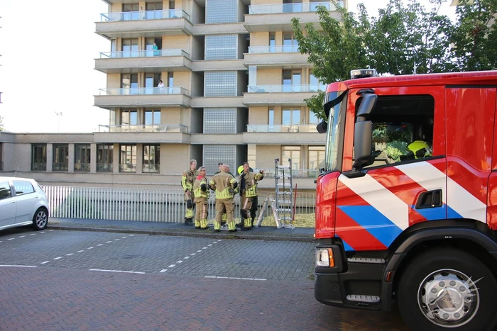 Brandweer bevrijdt kuiken van achter houten schot