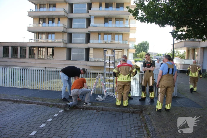Brandweer bevrijdt kuiken van achter houten schot