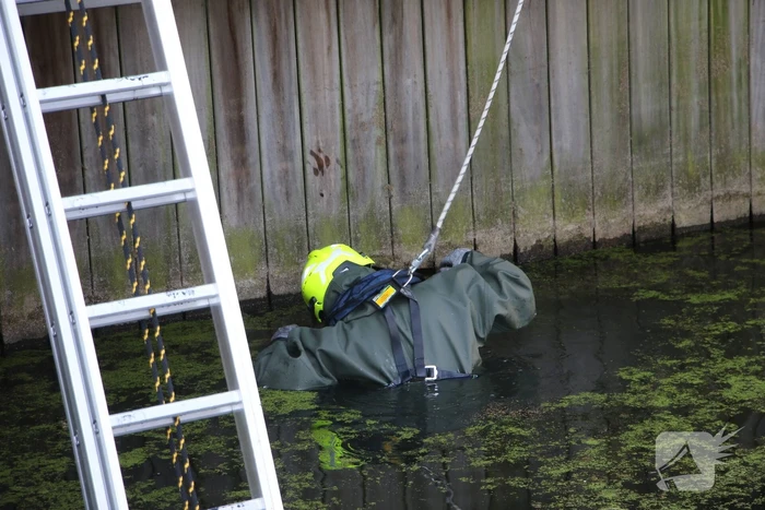 Brandweer bevrijdt kuiken van achter houten schot