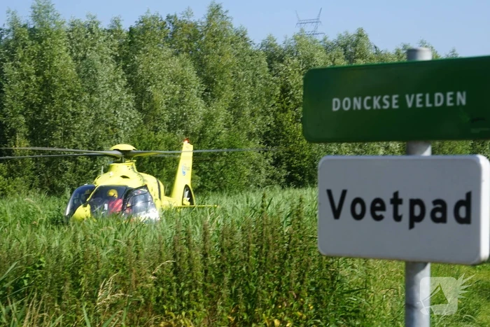 nieuws dolfijnpark ridderkerk