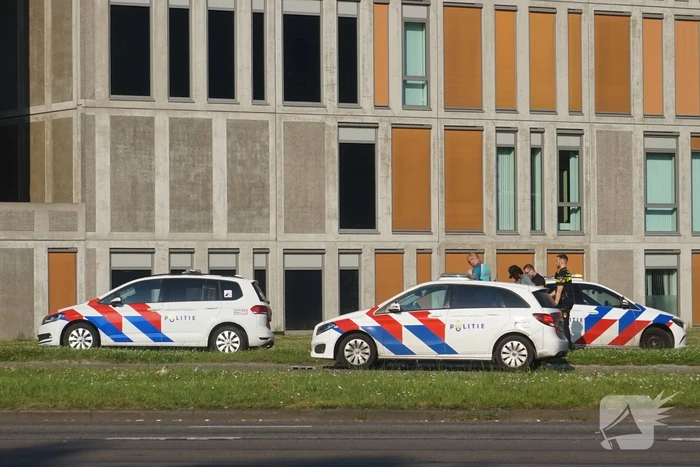 steekincident zuiderparkweg rotterdam