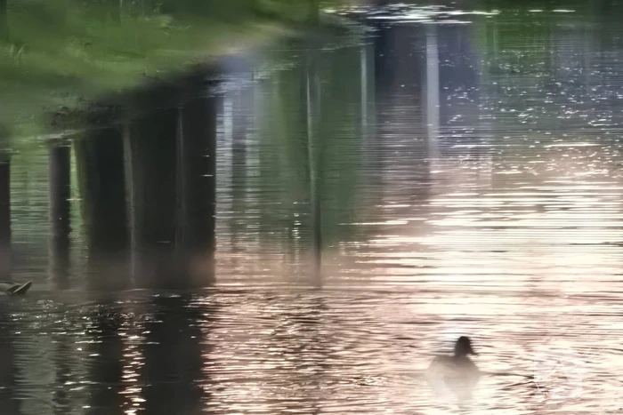 Straat afgesloten wegens grote waterlekkage