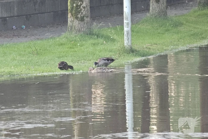 Straat afgesloten wegens grote waterlekkage