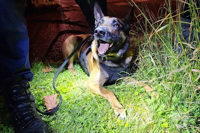 Politiehond Appie vind door omstander verloren armband terug