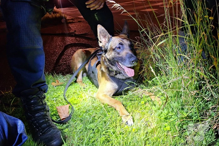 Politiehond Appie vind door omstander verloren armband terug