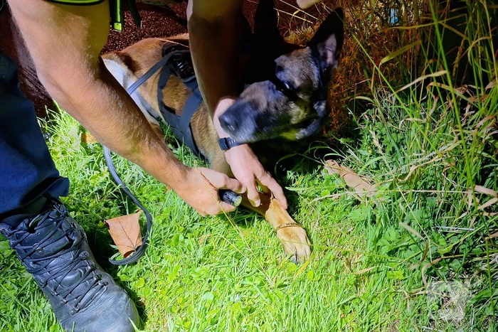Politiehond Appie vind door omstander verloren armband terug