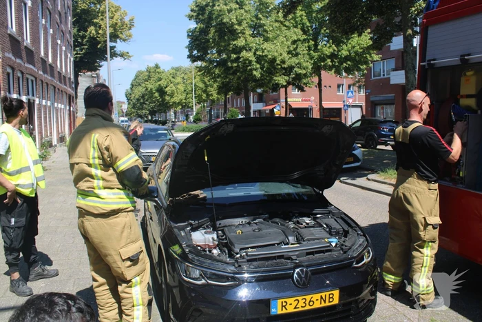Brandweer bevrijdt vastzittende kat
