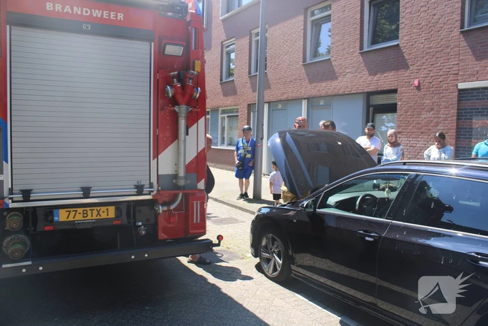 Brandweer bevrijdt vastzittende kat