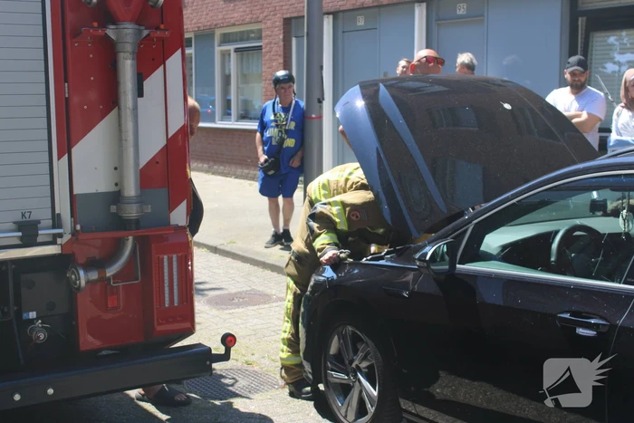 Brandweer bevrijdt vastzittende kat