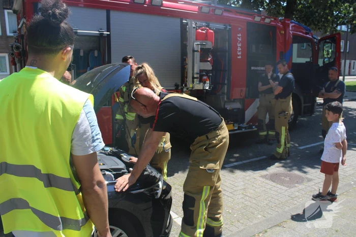 Brandweer bevrijdt vastzittende kat