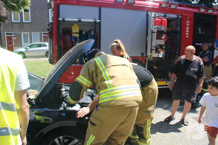 Brandweer bevrijdt vastzittende kat