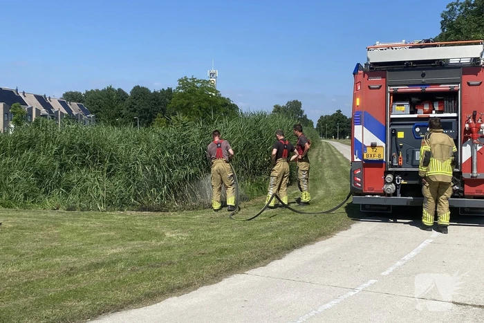 Brand in rietkraag snel onder controle