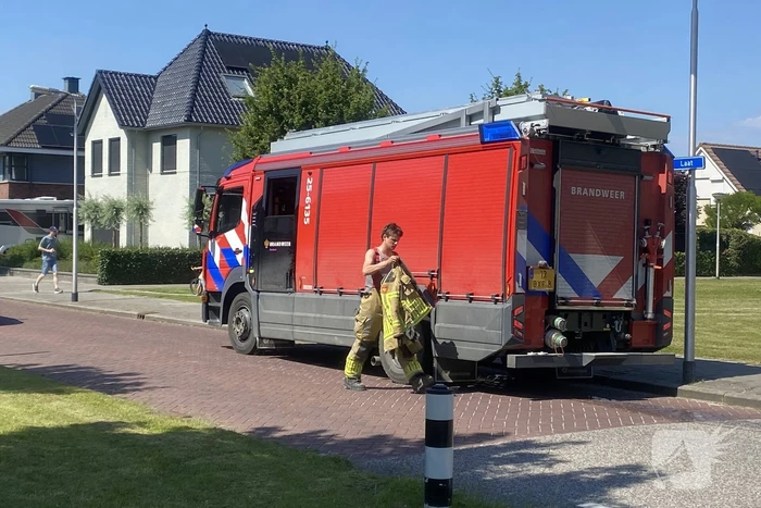 Brand in rietkraag snel onder controle