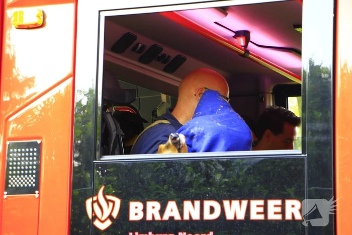 Brandweer redt ree en laat hem elder vrij