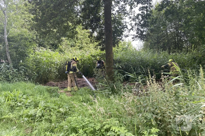 Buitenbrand snel onder controle