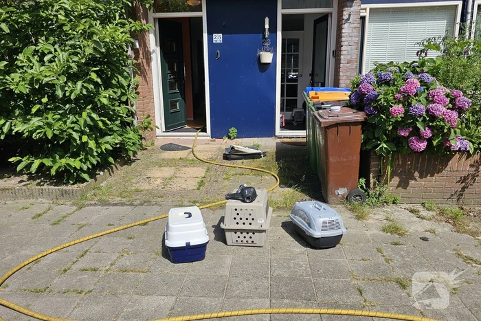brand voerakker ede