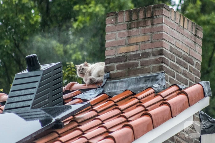 nieuws drijverstraat tilburg