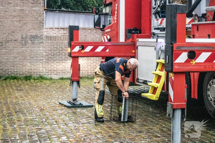 Poes ontglipt aan de brandweer
