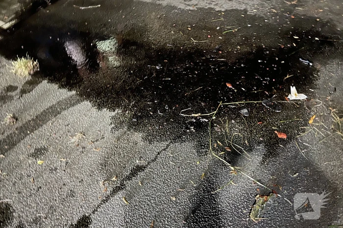 Auto zwaar beschadigd na crash