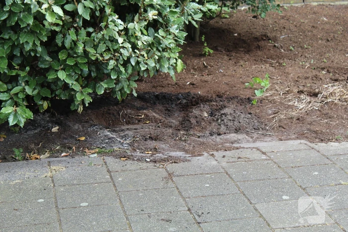 Brandweer blust buitenbrand met water uit brandkraan