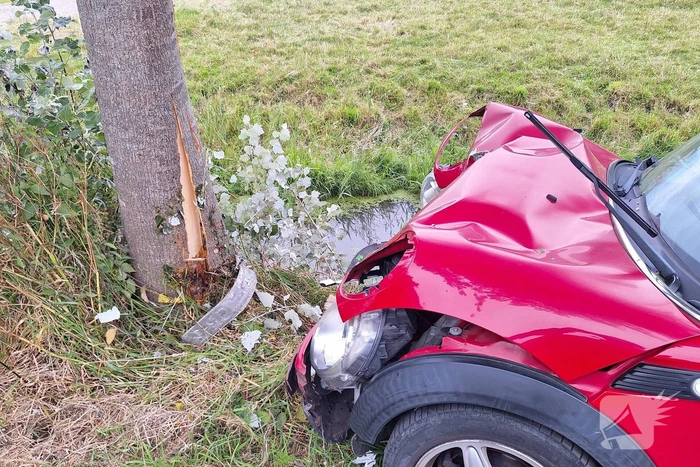 Automobilist verliest macht over stuur en klapt op boom
