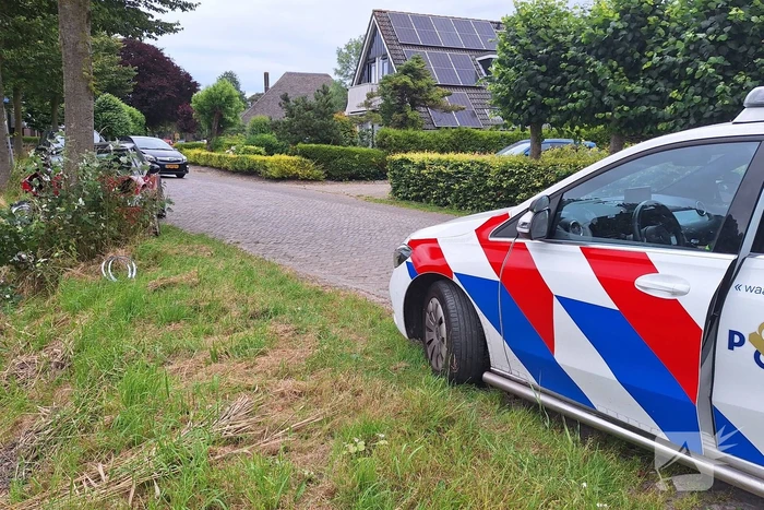 Automobilist verliest macht over stuur en klapt op boom