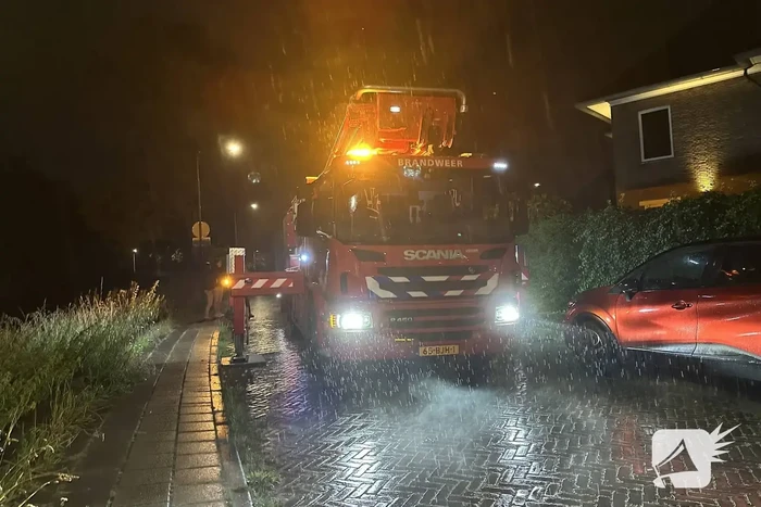 Brandweer haalt kat van dak