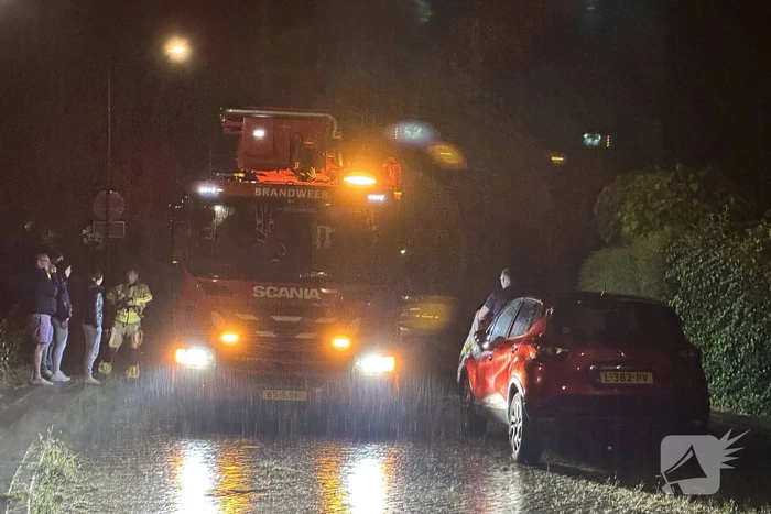 Brandweer haalt kat van dak