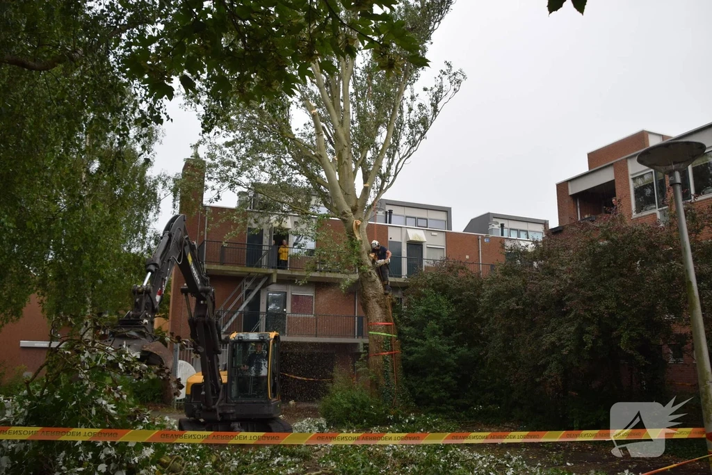 Stokdijkhof 112 meldingen Naaldwijk 