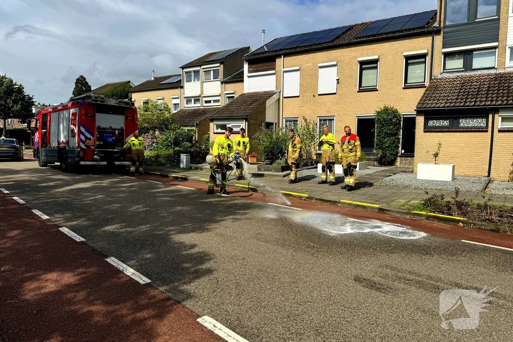 Veghel