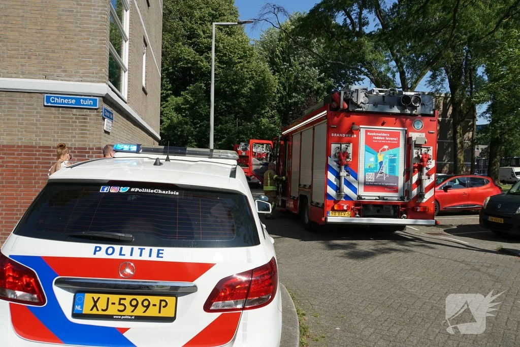 Chinese tuin Nieuws Rotterdam 