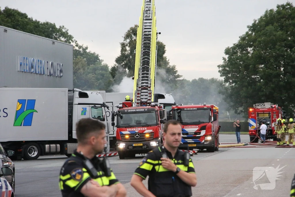 Rijnsburg
