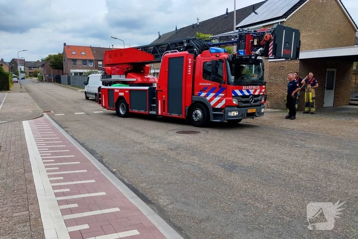 Brandweer druk met vogel die vastzit in bak van rolluik