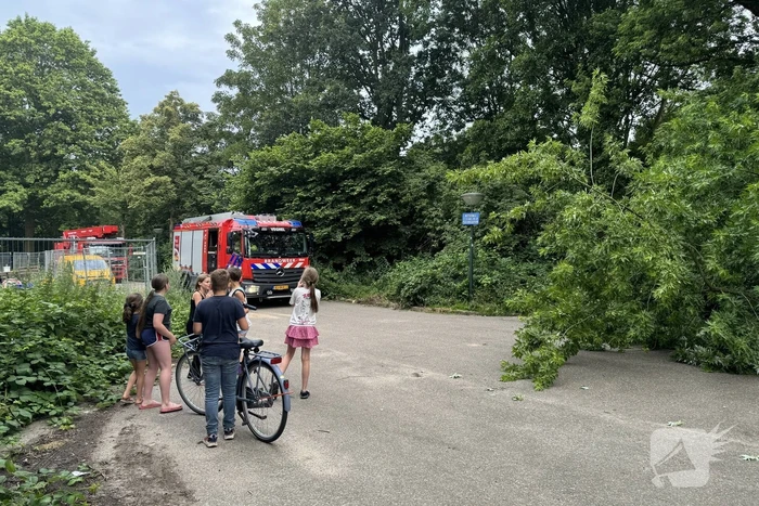 Grote tak breekt van boom en belandt op kind