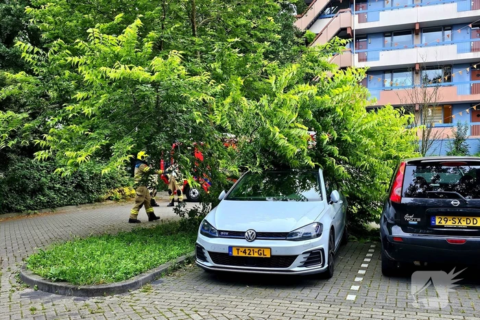 natuur nieuwe maanderbuurtweg ede